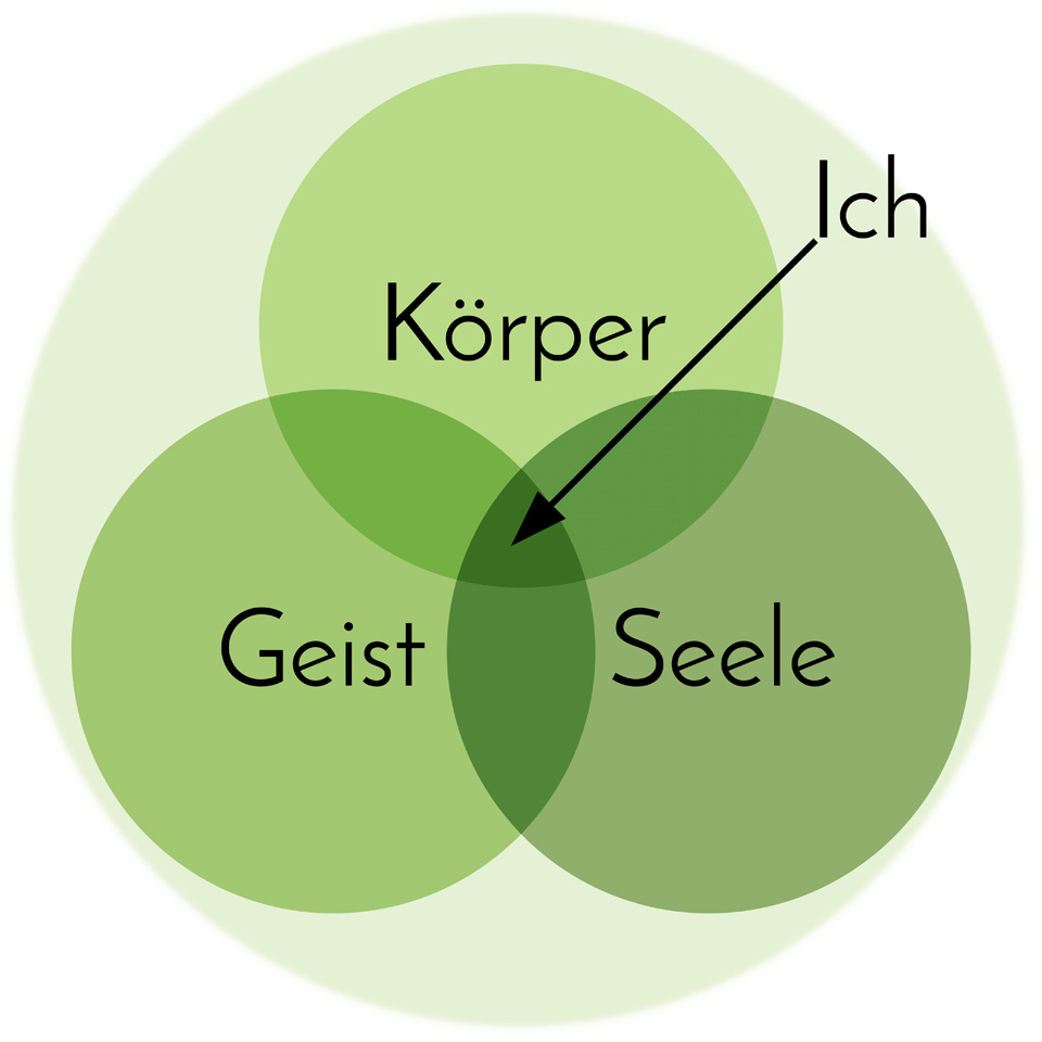 Schema zur Integrativen Kinesiologie