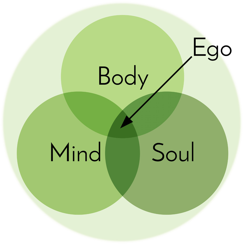 Diagram of integrative kinesiology